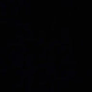 Meet your Posher, Ellie